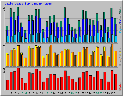 Daily usage for January 2008