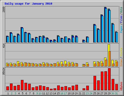 Daily usage for January 2010