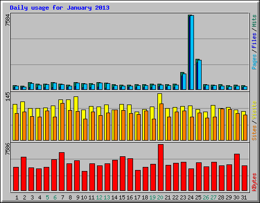 Daily usage for January 2013