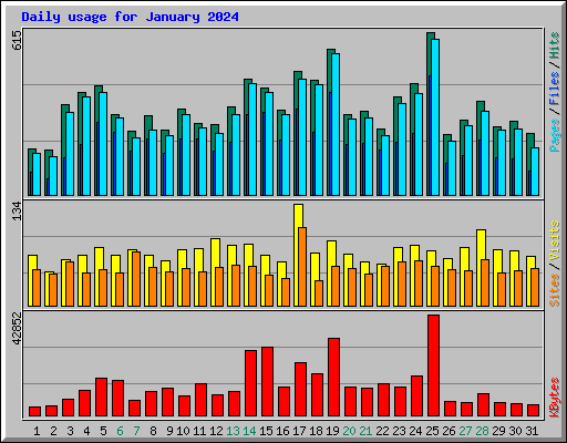 Daily usage for January 2024