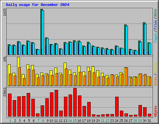 Daily usage for December 2024