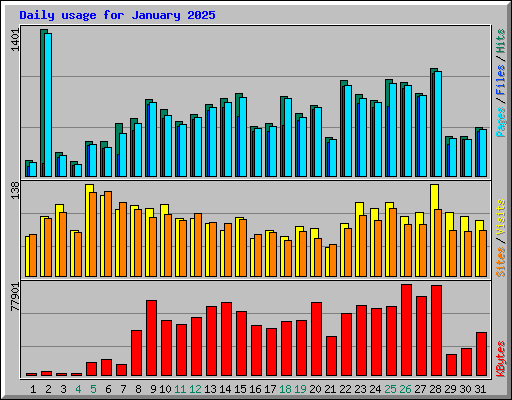 Daily usage for January 2025