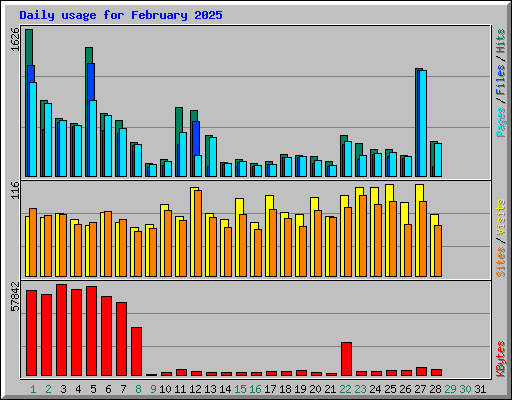 Daily usage for February 2025