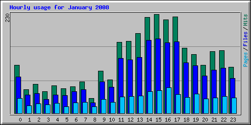 Hourly usage for January 2008