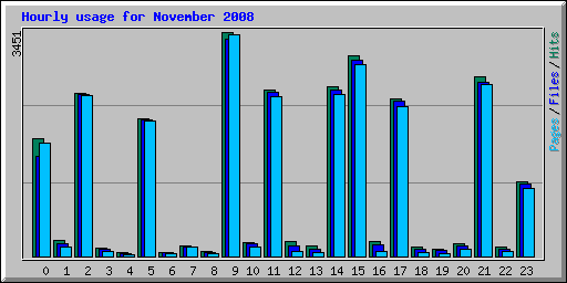 Hourly usage for November 2008