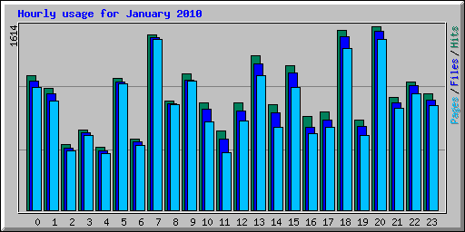 Hourly usage for January 2010