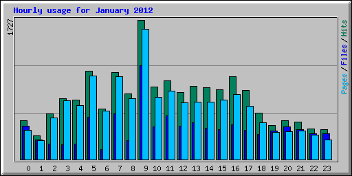 Hourly usage for January 2012