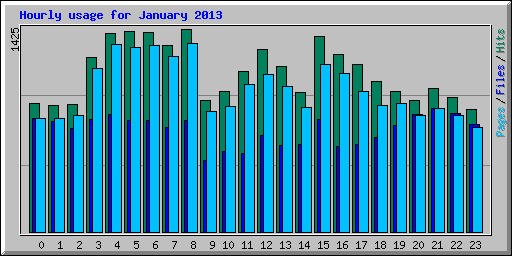 Hourly usage for January 2013