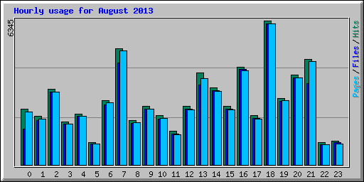 Hourly usage for August 2013