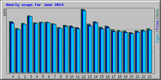 Hourly usage for June 2014