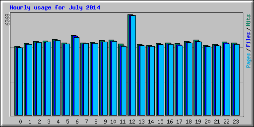 Hourly usage for July 2014