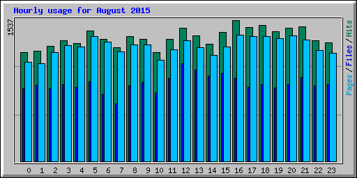 Hourly usage for August 2015