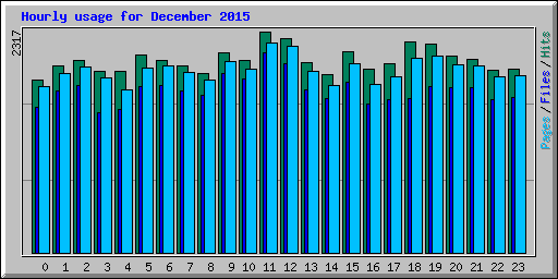 Hourly usage for December 2015