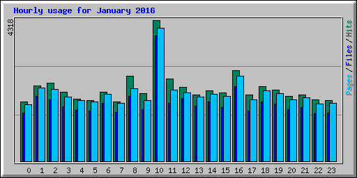 Hourly usage for January 2016