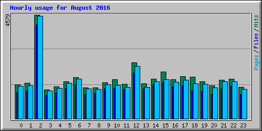 Hourly usage for August 2016