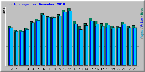 Hourly usage for November 2016