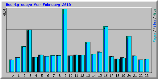 Hourly usage for February 2019