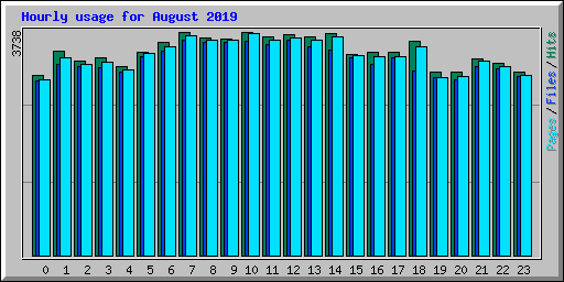 Hourly usage for August 2019