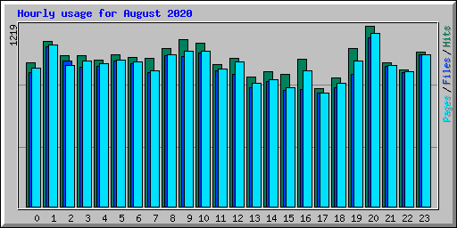 Hourly usage for August 2020