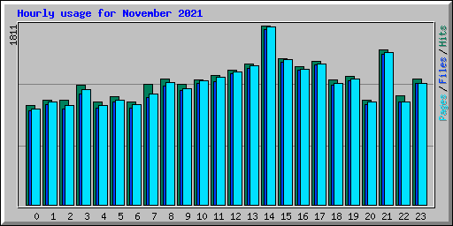 Hourly usage for November 2021