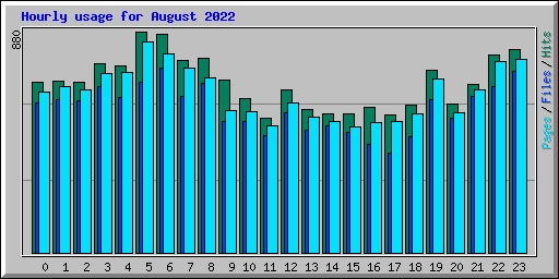 Hourly usage for August 2022