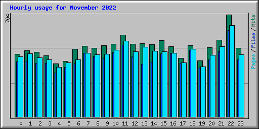 Hourly usage for November 2022