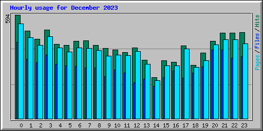 Hourly usage for December 2023