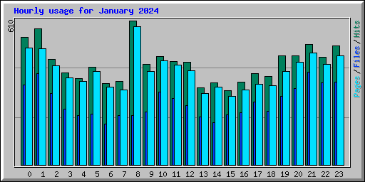 Hourly usage for January 2024