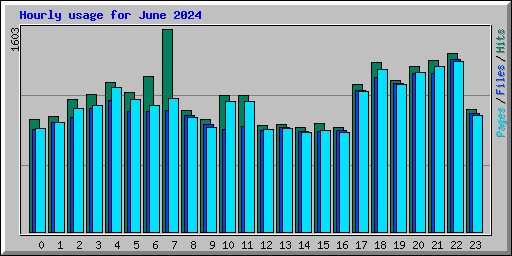 Hourly usage for June 2024