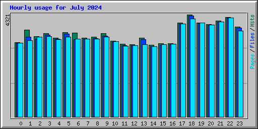 Hourly usage for July 2024