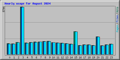 Hourly usage for August 2024