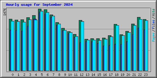 Hourly usage for September 2024