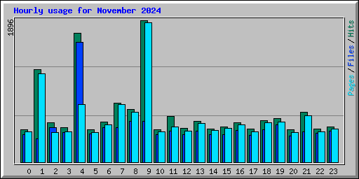 Hourly usage for November 2024