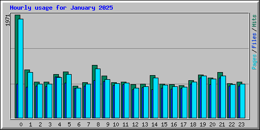 Hourly usage for January 2025
