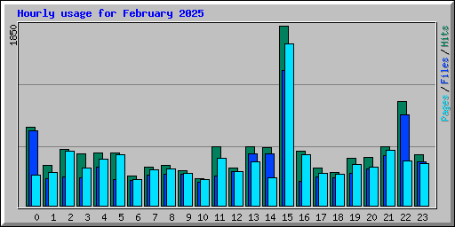 Hourly usage for February 2025