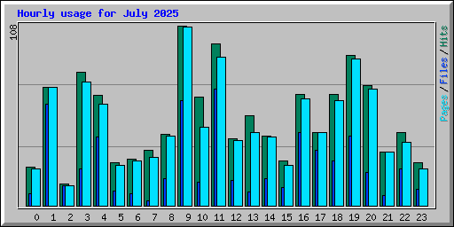 Hourly usage for July 2025