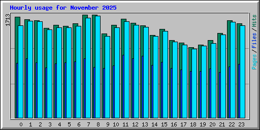 Hourly usage for November 2025