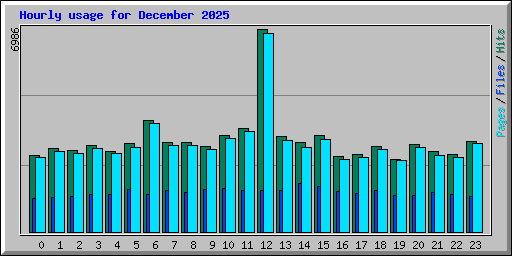 Hourly usage for December 2025
