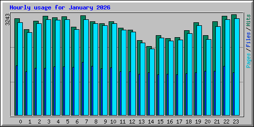 Hourly usage for January 2026